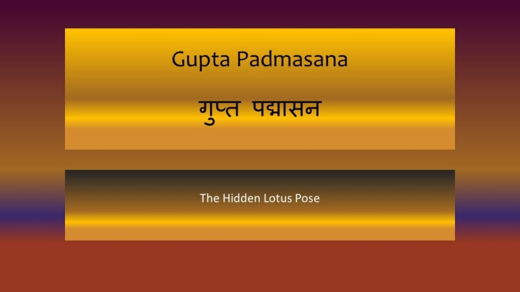 Gupta Padmasana