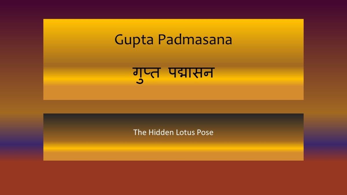 Gupta Padmasana