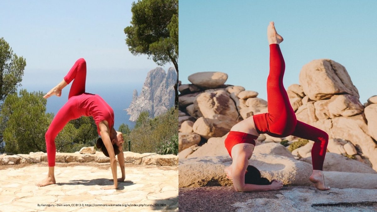 Dhanurasana images