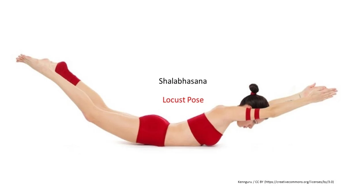Health Mantra - Benefits of Superman Pose (Viparita Shalabhasana) are  1-Stretches & strengthens the muscles of the chest, shoulders,  arms,legs,abdomen & lower back 2-Tones the abdomen & lower back 3-Improves  blood circulation