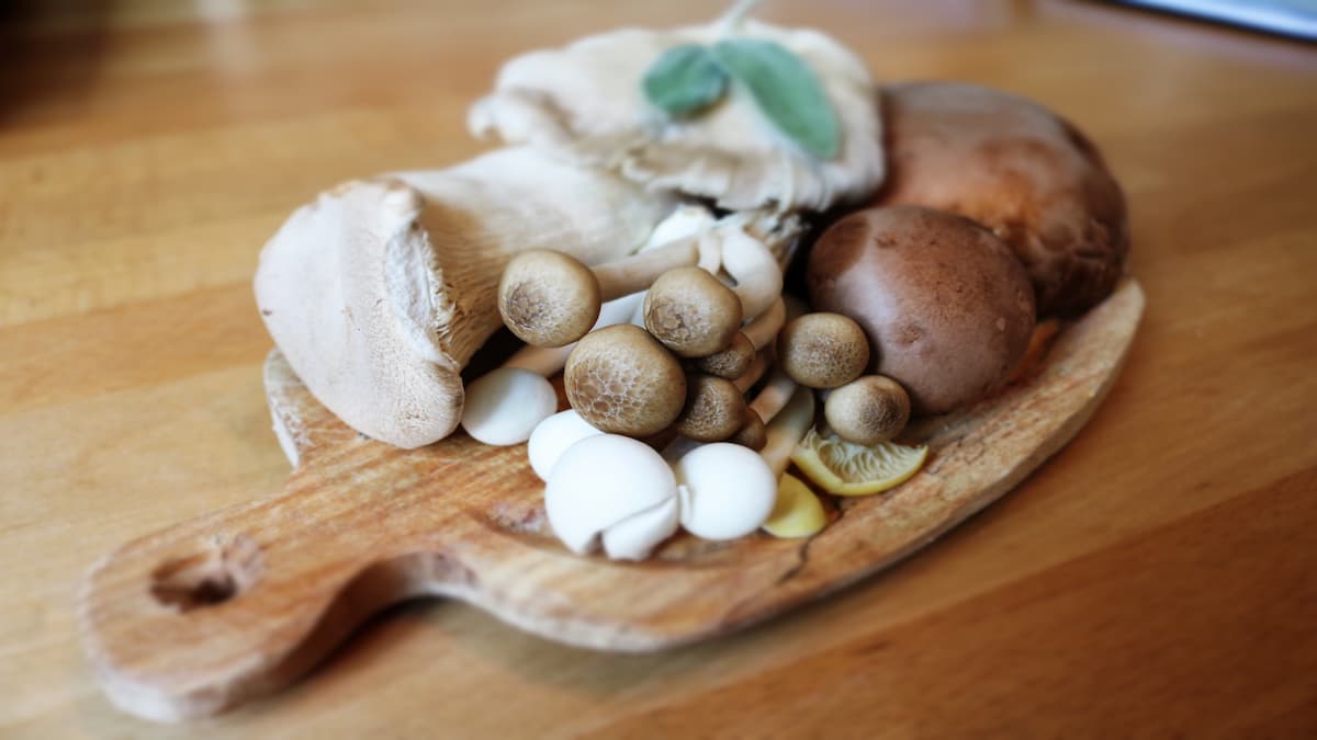 types of mushrooms and benefits