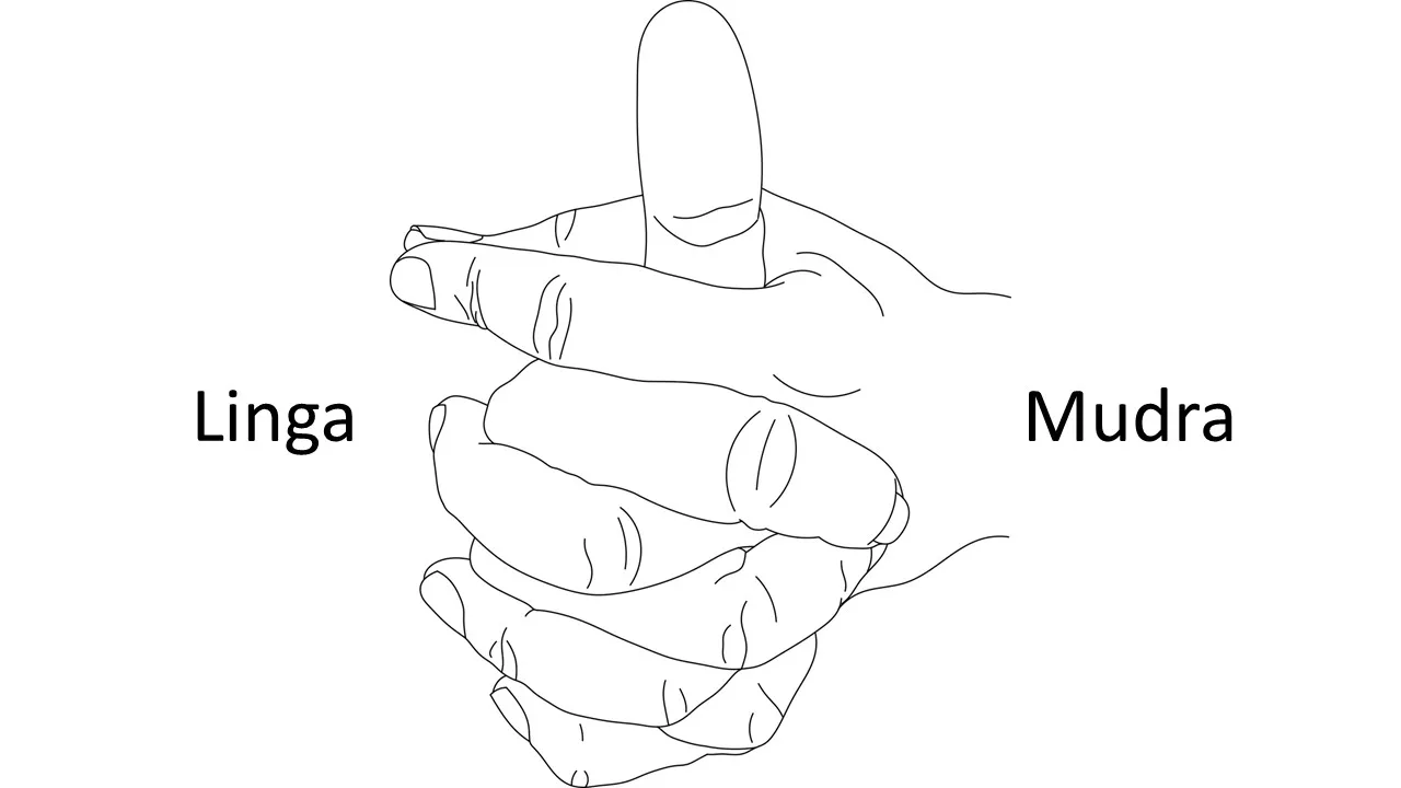 Linga Mudra