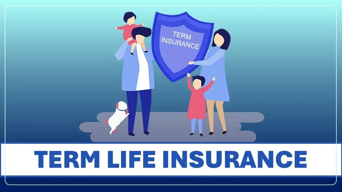 Zero-cost Term Insurance